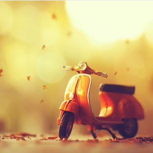 عکس پروفایل مینیاتوری پاییزی