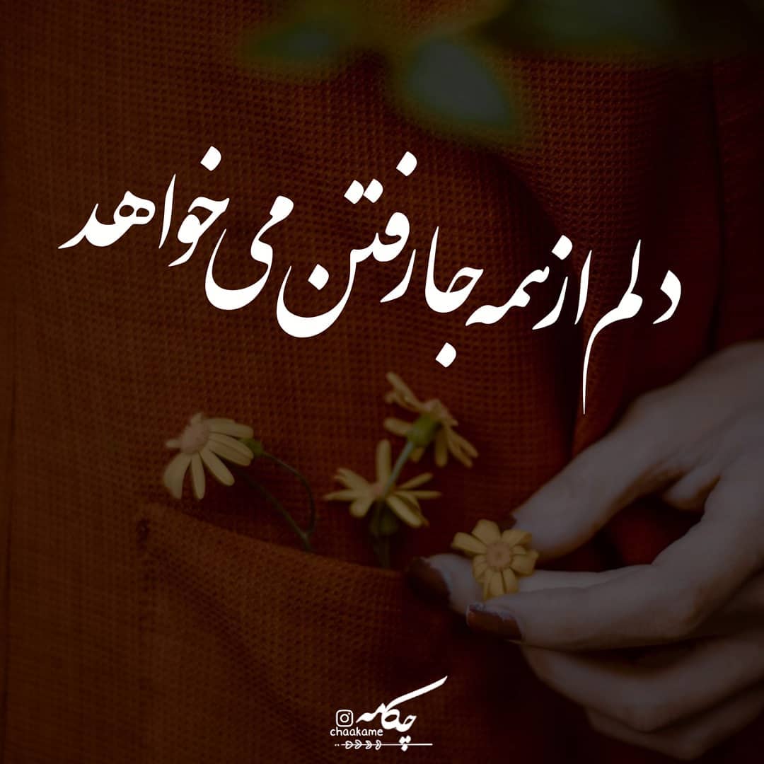 عکس نوشته دلم از همه جا رفتن می خواهد