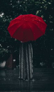 عکس پروفایل چتر
