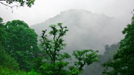 پاک شدن جنگل های شمال از نقشه ایران