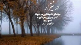 عکس نوشته چیزی را به یاد آورده که بهتر بود فراموش کند