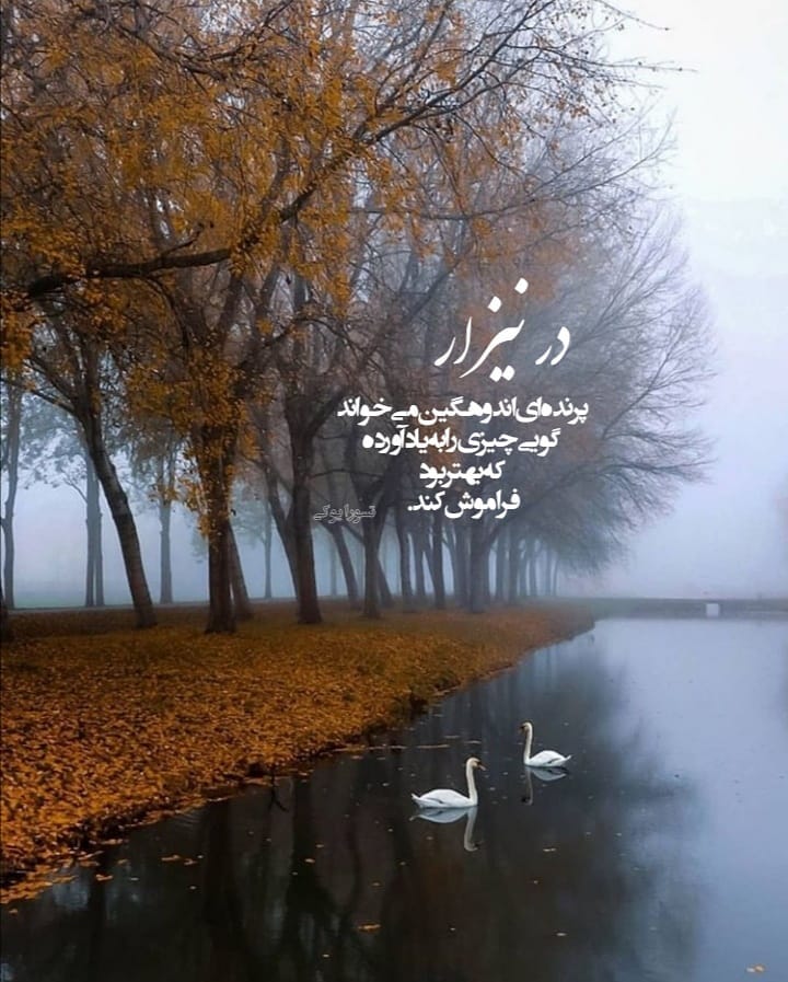 عکس نوشته چیزی را به یاد آورده که بهتر بود فراموش کند