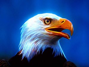 عکس پروفایل عقاب هنری