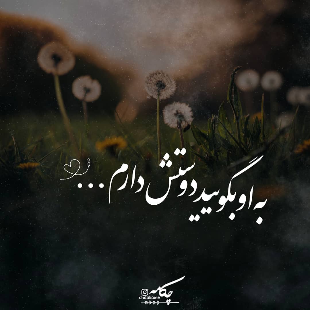 عکس نوشته به او بگویید دوستش دارم