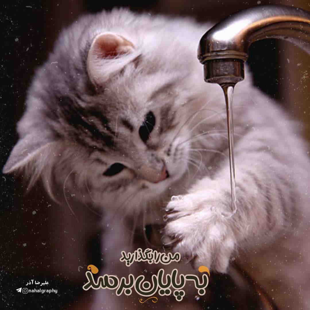 عکس نوشته به پایان برسد
