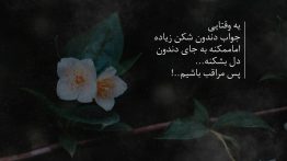 عکس نوشته جواب دندان شکن