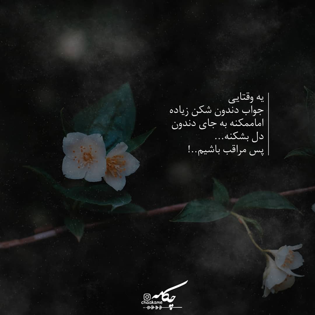 عکس نوشته جواب دندان شکن