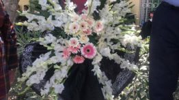 خاکسپاری بهمن مفید