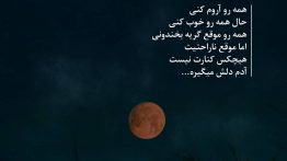 عکس نوشته آدم دلش میگیره