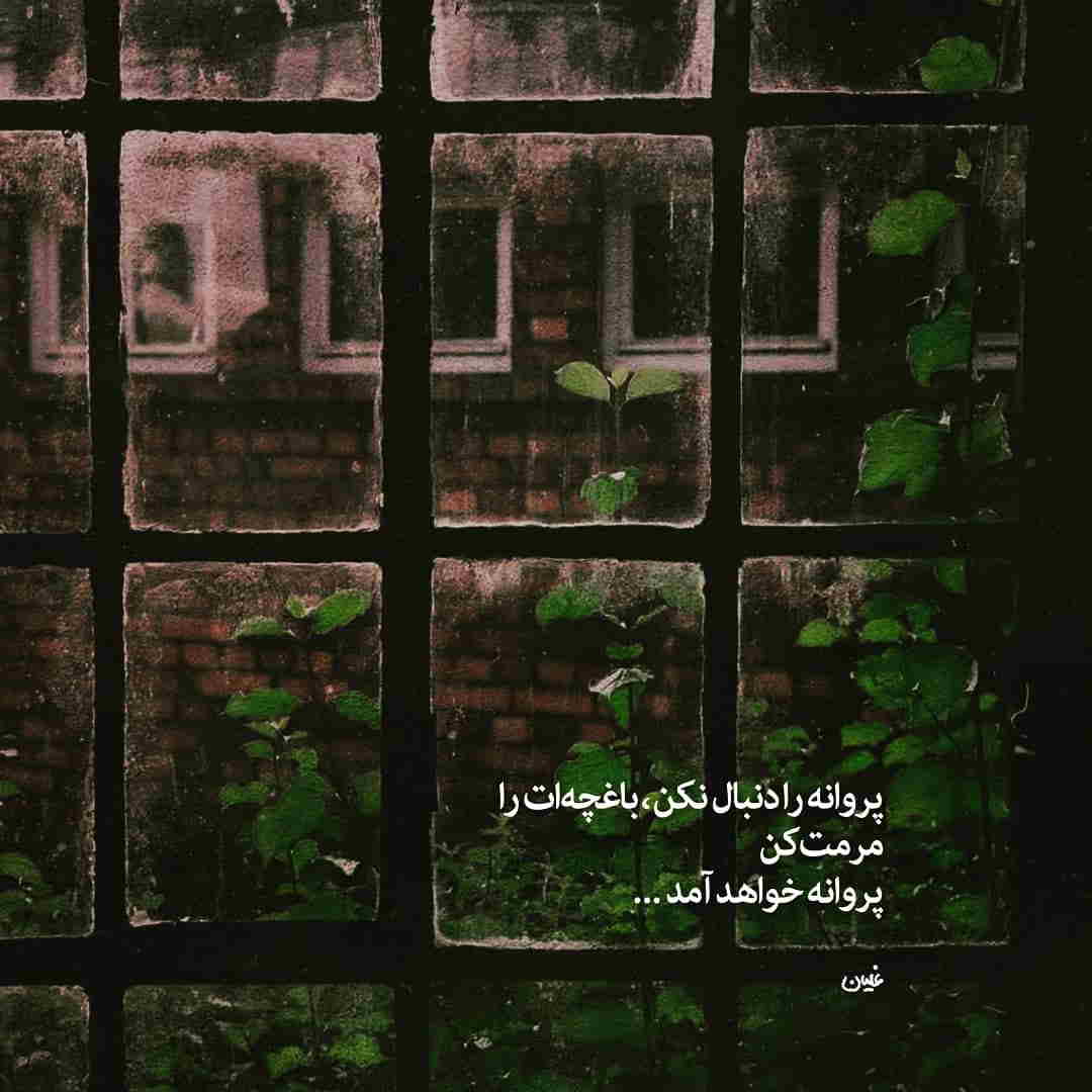 عکس نوشته مرمت کن