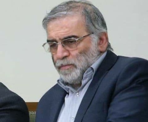 شهید فخری زاده
