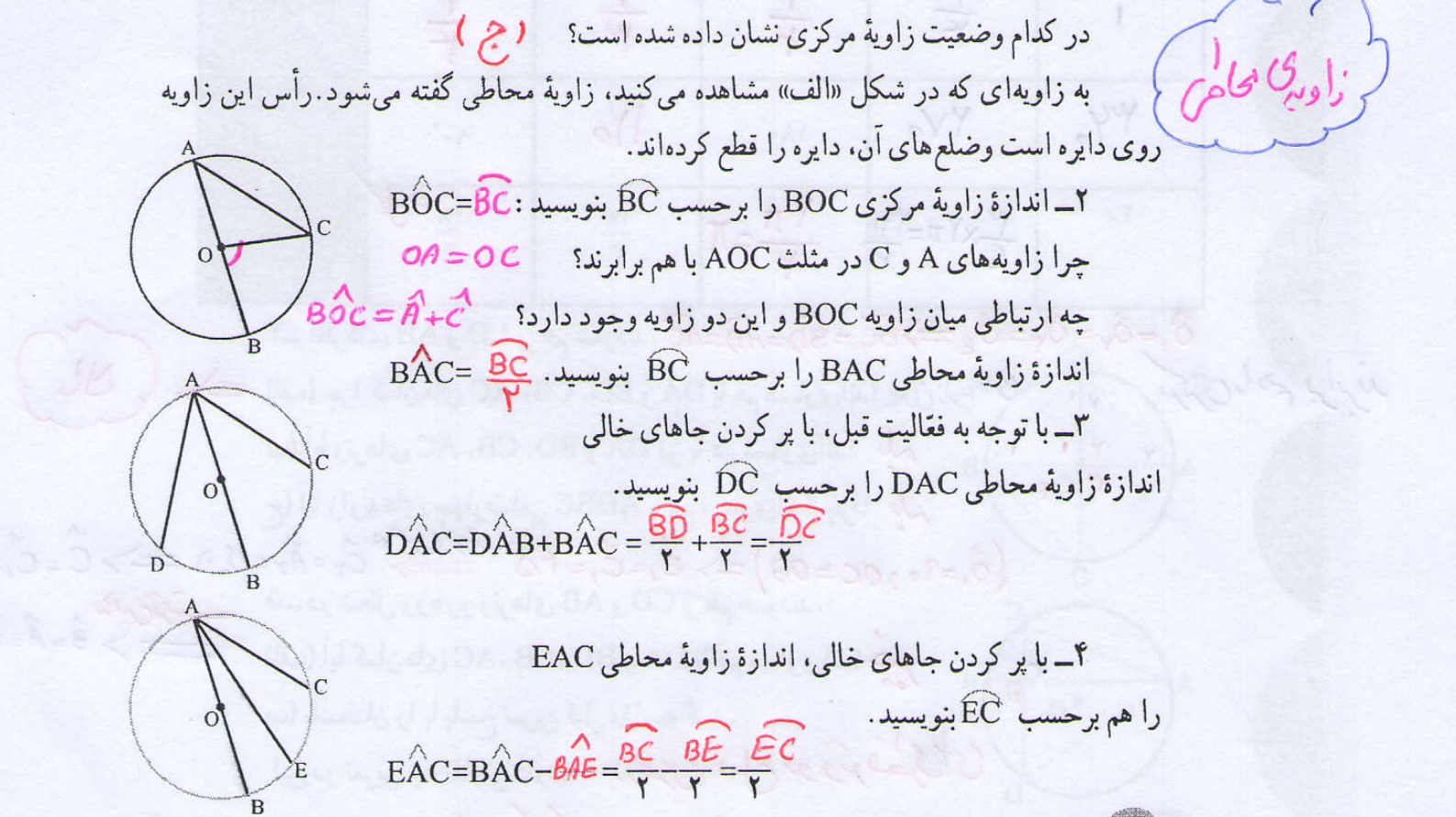 جواب فعالیت صفحه 146 ریاضی هشتم1