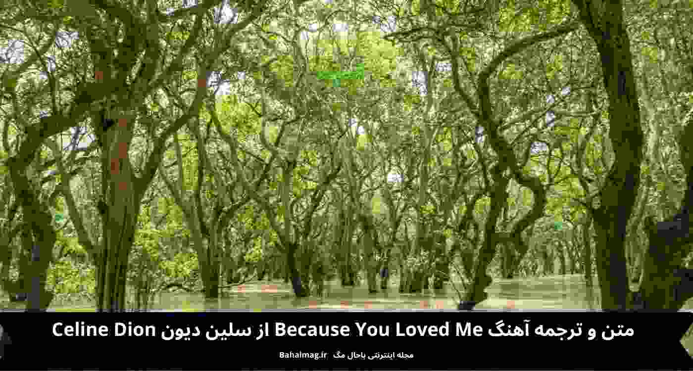 متن و ترجمه آهنگ Because You Loved me