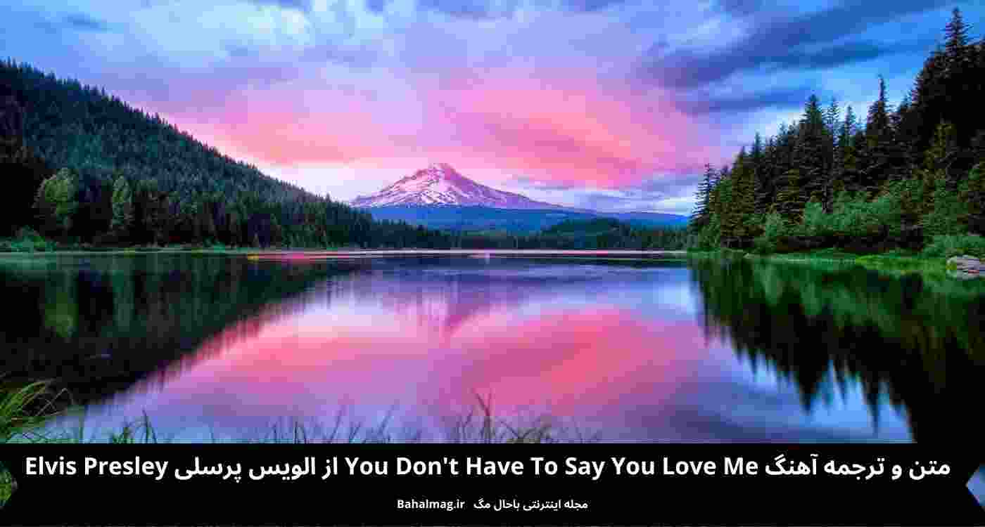 متن و ترجمه آهنگ You Dont Have To Say You Love Me