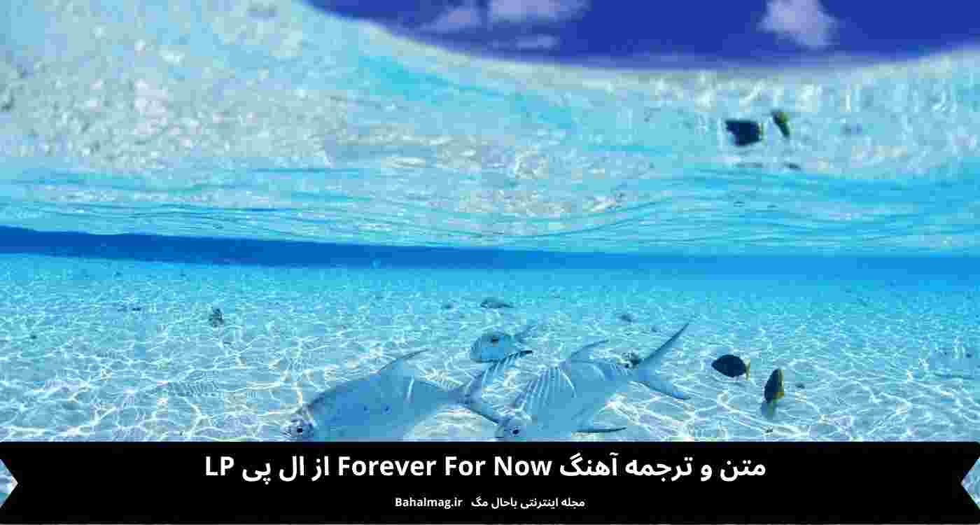 متن و ترجمه آهنگ forever for now