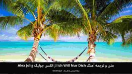 متن و ترجمه آهنگ ich will nur dich