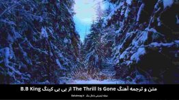متن و ترجمه آهنگ the thrill is gone
