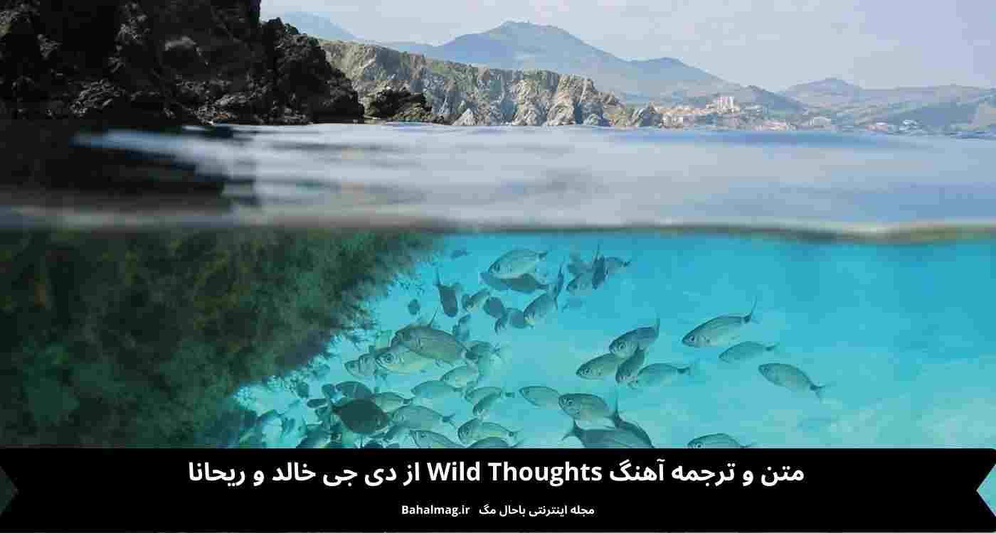 متن و ترجمه آهنگ wild Thoughts