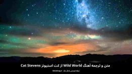 متن و ترجمه آهنگwild world