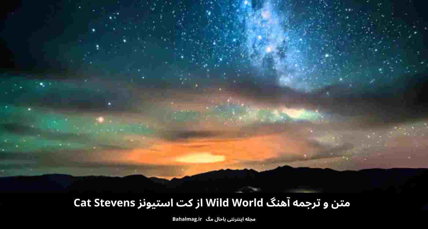 متن و ترجمه آهنگwild world