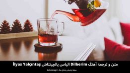 متن و ترجمه آهنگ Dilberim الیاس یالچینتاش İlyas Yalçıntaş