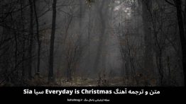 متن و ترجمه آهنگ Everyday is Christmas سیا Sia