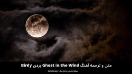 متن و ترجمه آهنگ Ghost in the Wind بردی Birdy