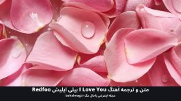 متن و ترجمه آهنگ I Love You بیلی ایلیش Redfoo