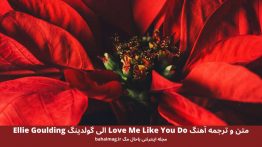 متن و ترجمه آهنگ Love Me Like You Do الی گولدینگ Ellie Goulding