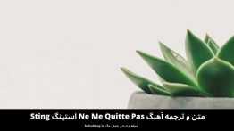 متن و ترجمه آهنگ Ne Me Quitte Pas استینگ Sting