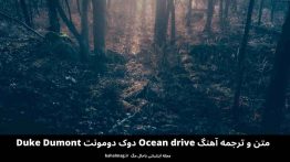 متن و ترجمه آهنگ Ocean drive دوک دومونت Duke Dumont