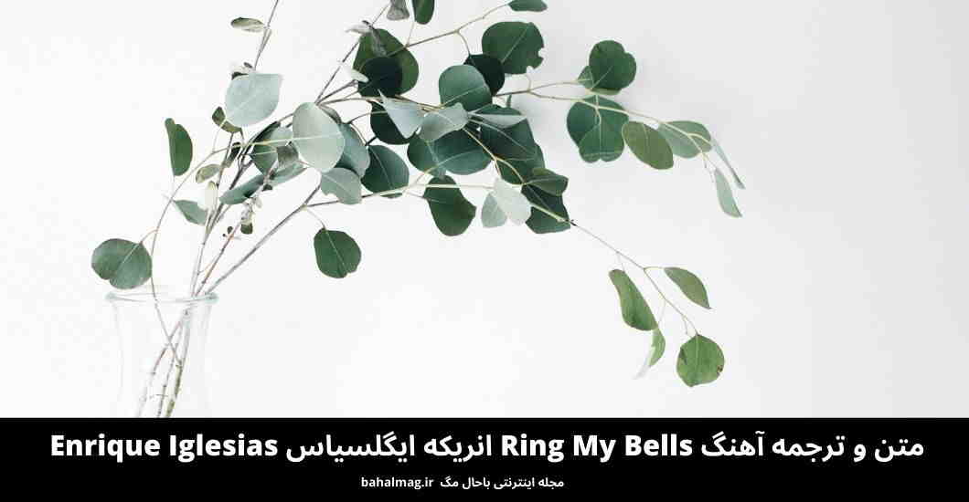 متن و ترجمه آهنگ Ring My Bells انریکه ایگلسیاس Enrique Iglesias