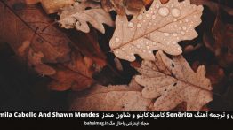 متن و ترجمه آهنگ Senõrita کامیلا کابلو Camila Cabello And Shawn Mendes