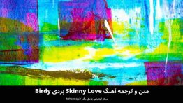 متن و ترجمه آهنگ Skinny Love بردی Birdy
