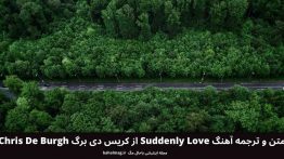 متن و ترجمه آهنگ Suddenly Love از کریس دی برگ Chris De Burgh