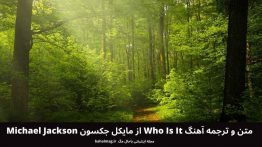 متن و ترجمه آهنگ Who Is It از مایکل جکسون Michael Jackson