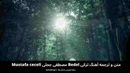 متن و ترجمه آهنگ ترکی Bedel مصطفی ججیلی Mustafa ceceli