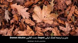 متن و ترجمه آهنگ ترکی Sepet دمت آکالین Demet Akalın