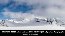 متن و ترجمه آهنگ ترکی seni sevnediğin مصطفی ججیلی Mustafa ceceli