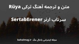 متن و ترجمه آهنگ ترکی Rüya سرتاب ارنر SertabErener