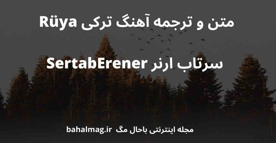 متن و ترجمه آهنگ ترکی Rüya سرتاب ارنر SertabErener