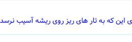 جواب فکر کنید صفحه ۹۵ علوم پنجم