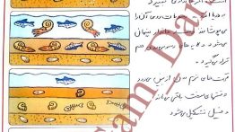 جواب گفت و گو صفحه ۳۳ علوم پنجم