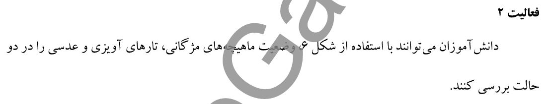 جواب فعالیت 2 صفحه 25 زیست یازدهم