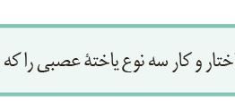 سوال فعالیت ۱ فصل ۱ صفحه ۳ زیست یازدهم