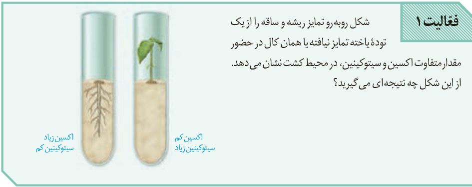 سوال-فعالیت-1-فصل-9-صفحه-142-زیست-یازدهم