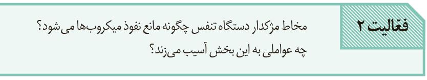 سوال-فعالیت-2-فصل-5-صفحه-65-زیست-یازدهم