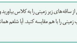 سوال-فعالیت-۲-فصل-۸-صفحه-۱۲۲-زیست-یازدهم