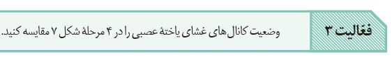 سوال-فعالیت-3-فصل-1-صفحه-6-زیست-یازدهم
