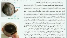 سوال-فعالیت-۴-فصل-۲-صفحه-۲۷-زیست-یازدهم